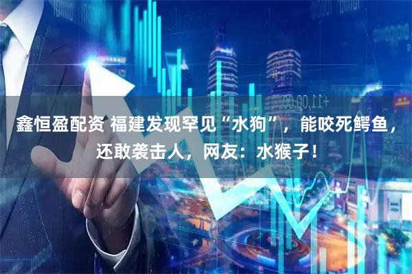 鑫恒盈配资 福建发现罕见“水狗”，能咬死鳄鱼，还敢袭击人，网友：水猴子！
