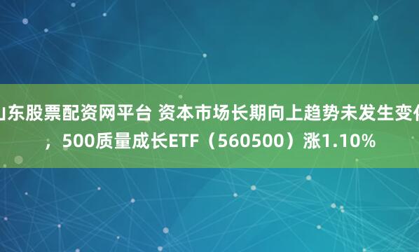 山东股票配资网平台 资本市场长期向上趋势未发生变化，500质量成长ETF（560500）涨1.10%