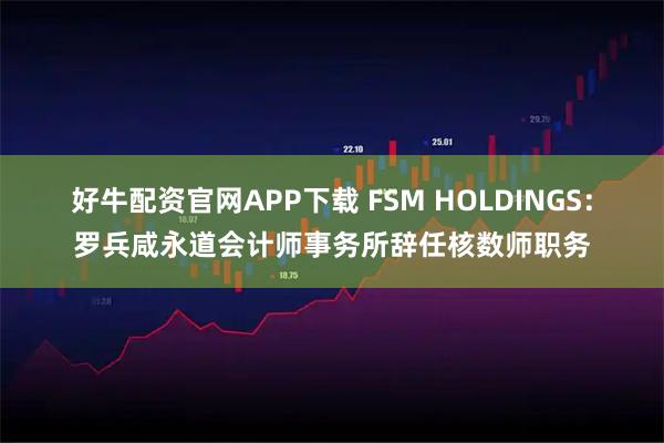 好牛配资官网APP下载 FSM HOLDINGS：罗兵咸永道会计师事务所辞任核数师职务