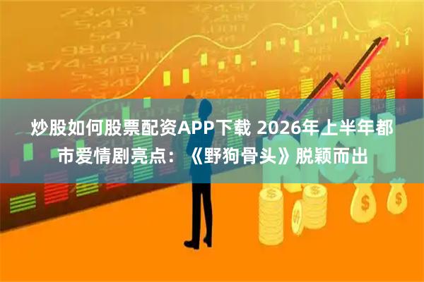 炒股如何股票配资APP下载 2026年上半年都市爱情剧亮点：《野狗骨头》脱颖而出